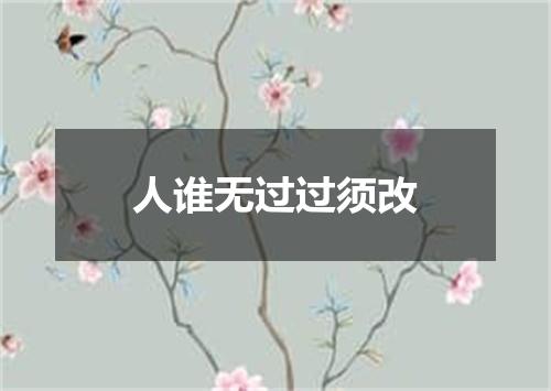 人谁无过过须改