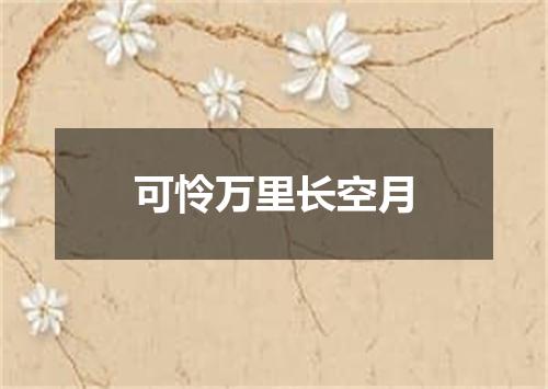 可怜万里长空月