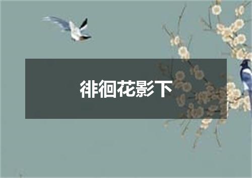 徘徊花影下