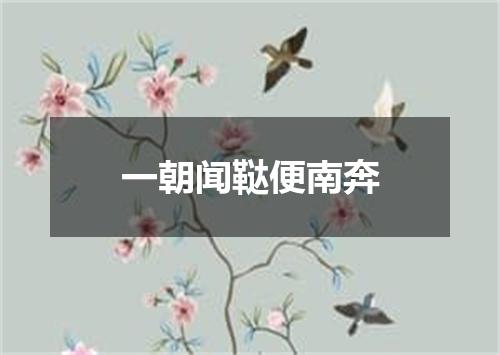 一朝闻鞑便南奔