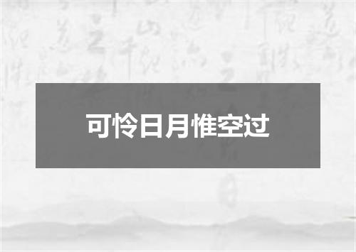 可怜日月惟空过