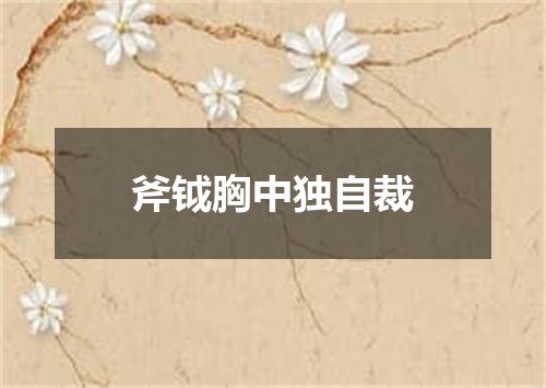 斧钺胸中独自裁