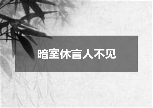 暗室休言人不见