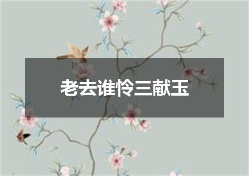 老去谁怜三献玉