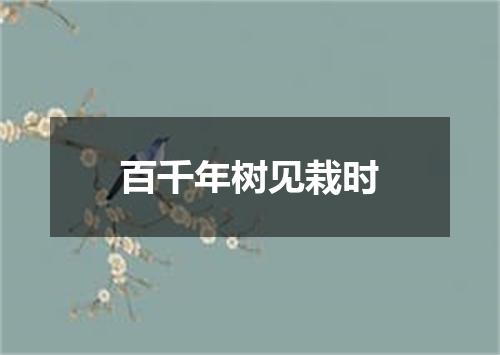 百千年树见栽时