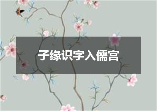 子缘识字入儒宫