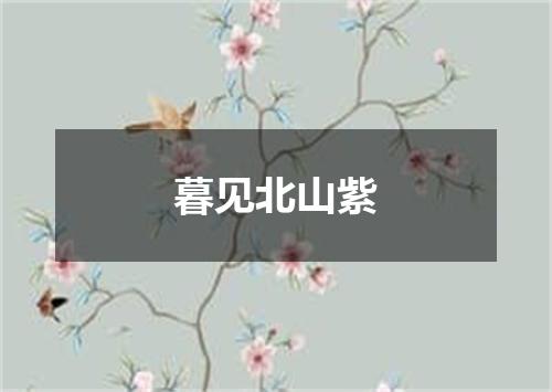暮见北山紫