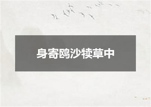 身寄鸥沙犊草中