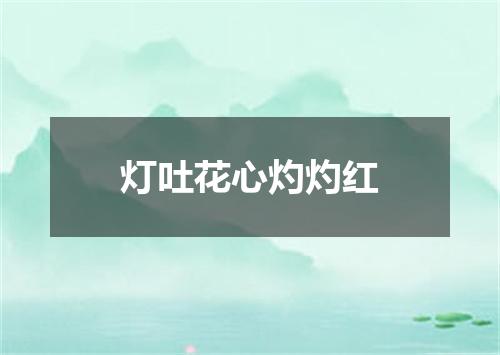 灯吐花心灼灼红