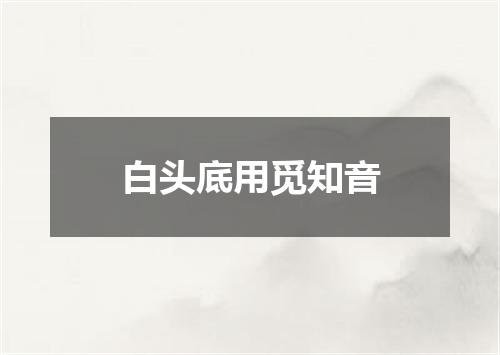 白头底用觅知音
