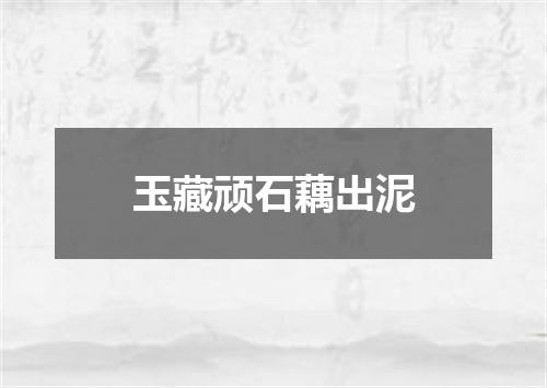 玉藏顽石藕出泥