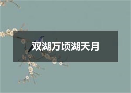 双湖万顷湖天月