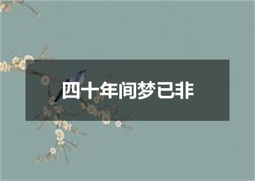 四十年间梦已非