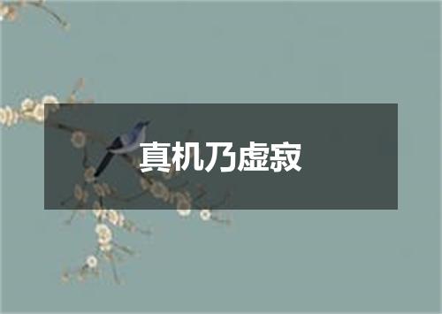 真机乃虚寂