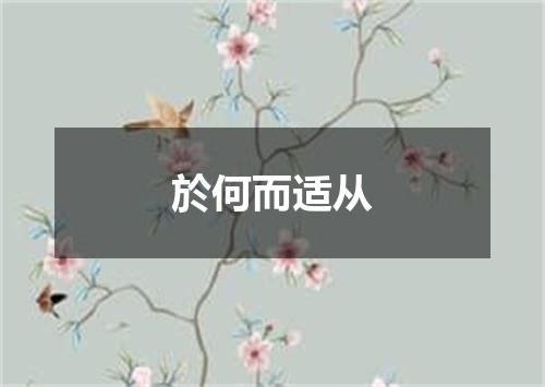於何而适从