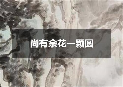 尚有余花一颗圆