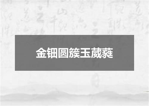 金钿圆簇玉葳蕤