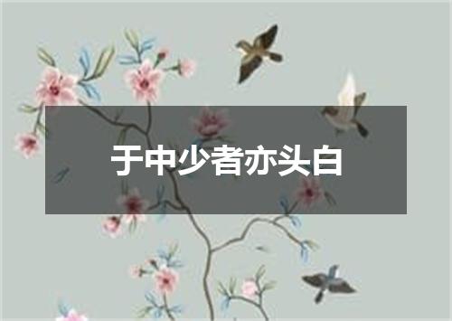 于中少者亦头白