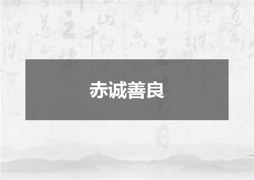 赤诚善良
