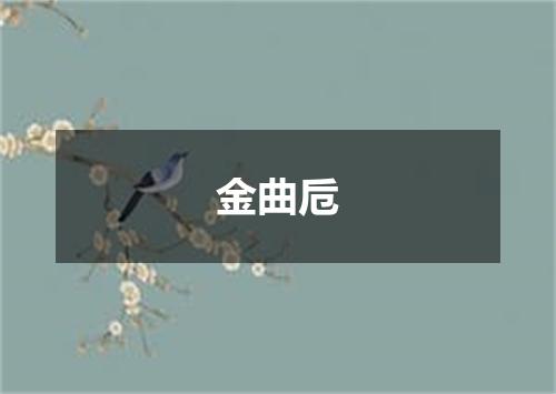 金曲卮