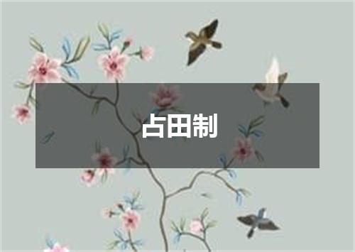占田制