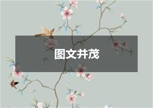 图文并茂