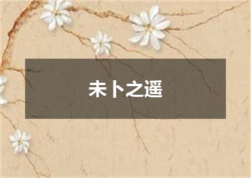 未卜之遥