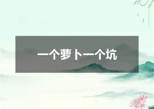 一个萝卜一个坑