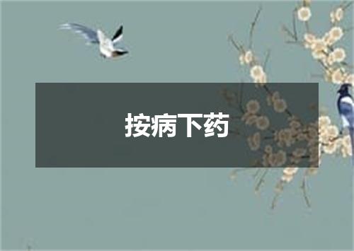 按病下药