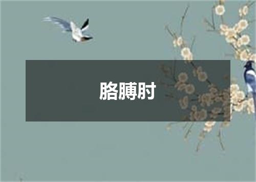 胳膊肘