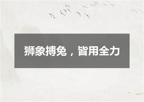 狮象搏兔，皆用全力