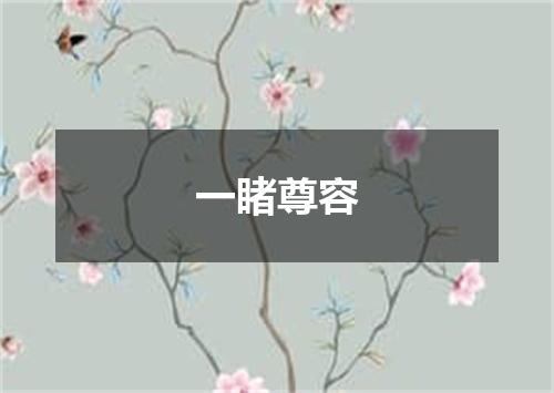 一睹尊容