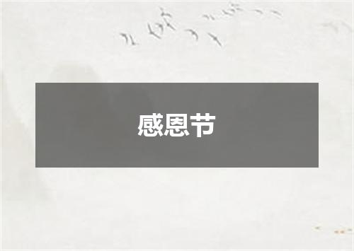 感恩节