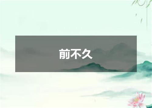 前不久