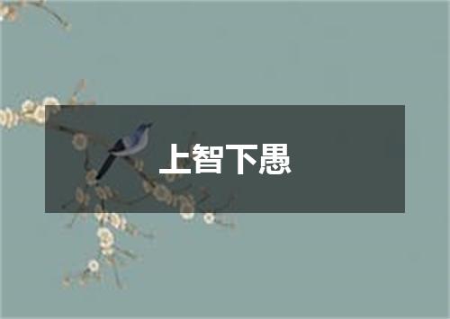 上智下愚