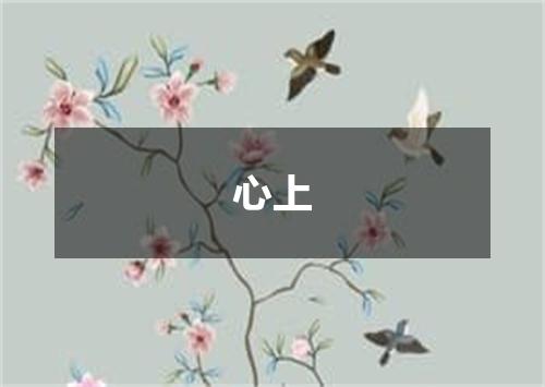 心上