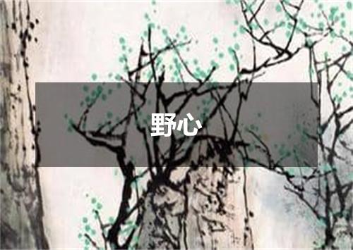 野心