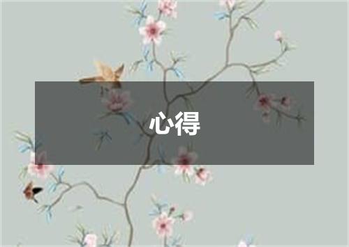 心得
