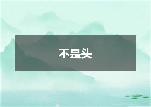 不是头