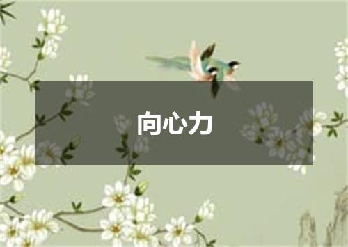 向心力