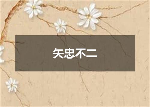 矢忠不二