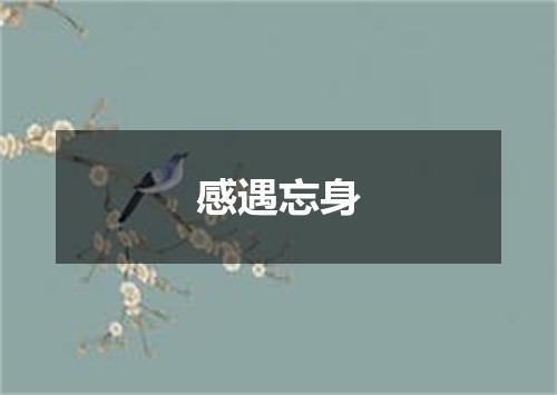 感遇忘身
