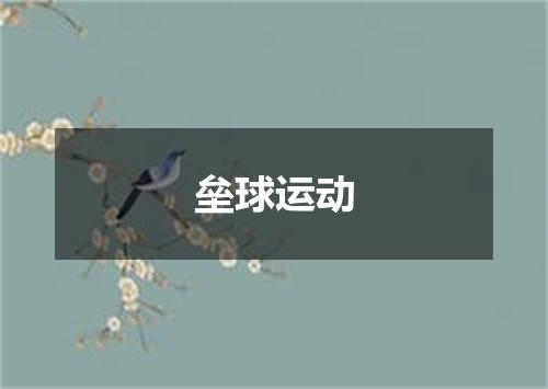 垒球运动
