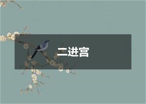 二进宫