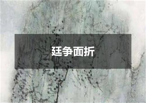 廷争面折
