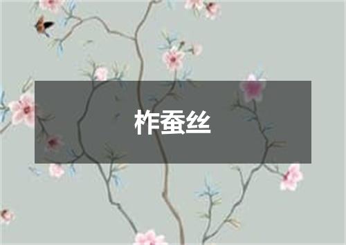 柞蚕丝