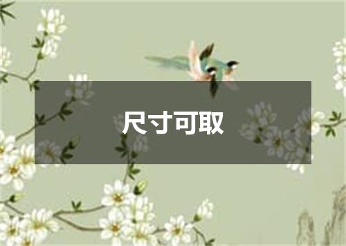 尺寸可取