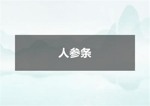 人参条