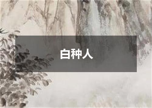 白种人