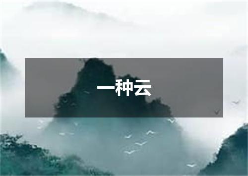 一种云